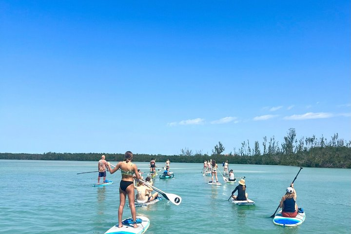 Mangroves & Hidden Beach Kayak Tour - Photo 1 of 11